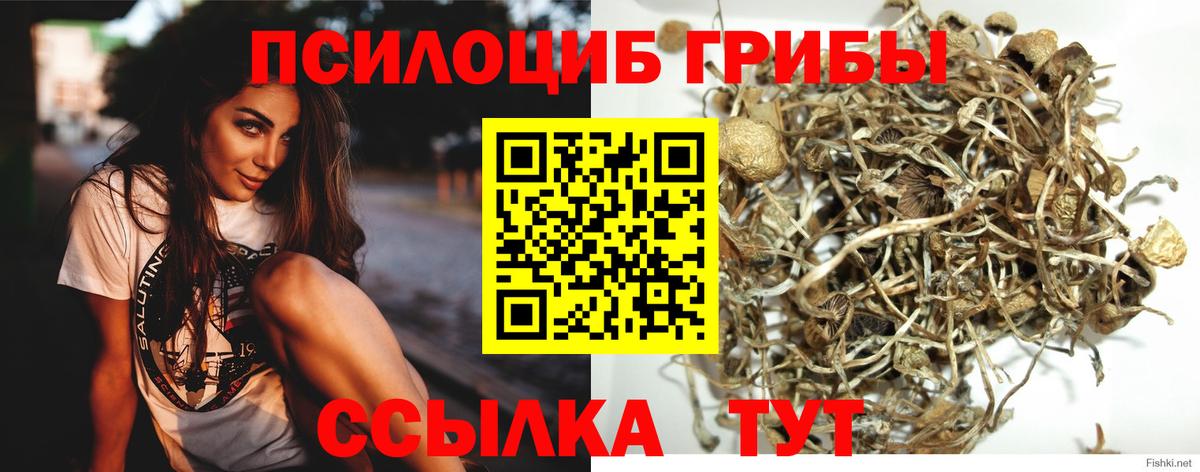 Солнечногорск  Псилоцибиновые грибы Magic Shrooms  Вход с VPN 